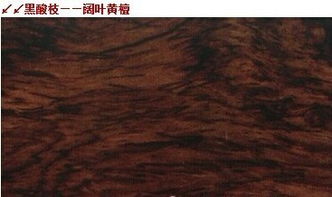 探寻优质木材资源 产品、价格、厂家与行业动态一网打尽